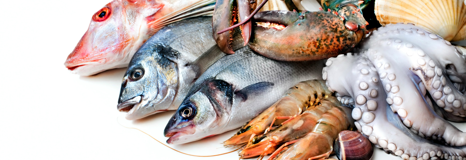 Die 10 Besten Fisch-Restaurants in Lissabon
